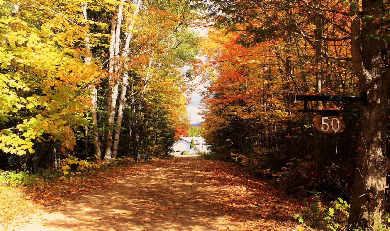 Chalet Riverain Crds Tremblant Lac Superieur Luaran gambar